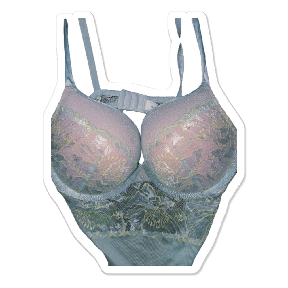 Elegant Lace Women’s Intimate in Blue